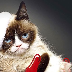 Meet your Posher, Bryan